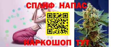 спиды Славгород