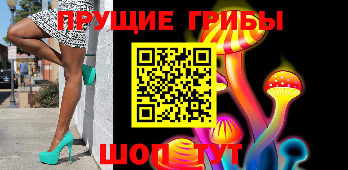Галлюциногенные грибы прущие грибы Осинники